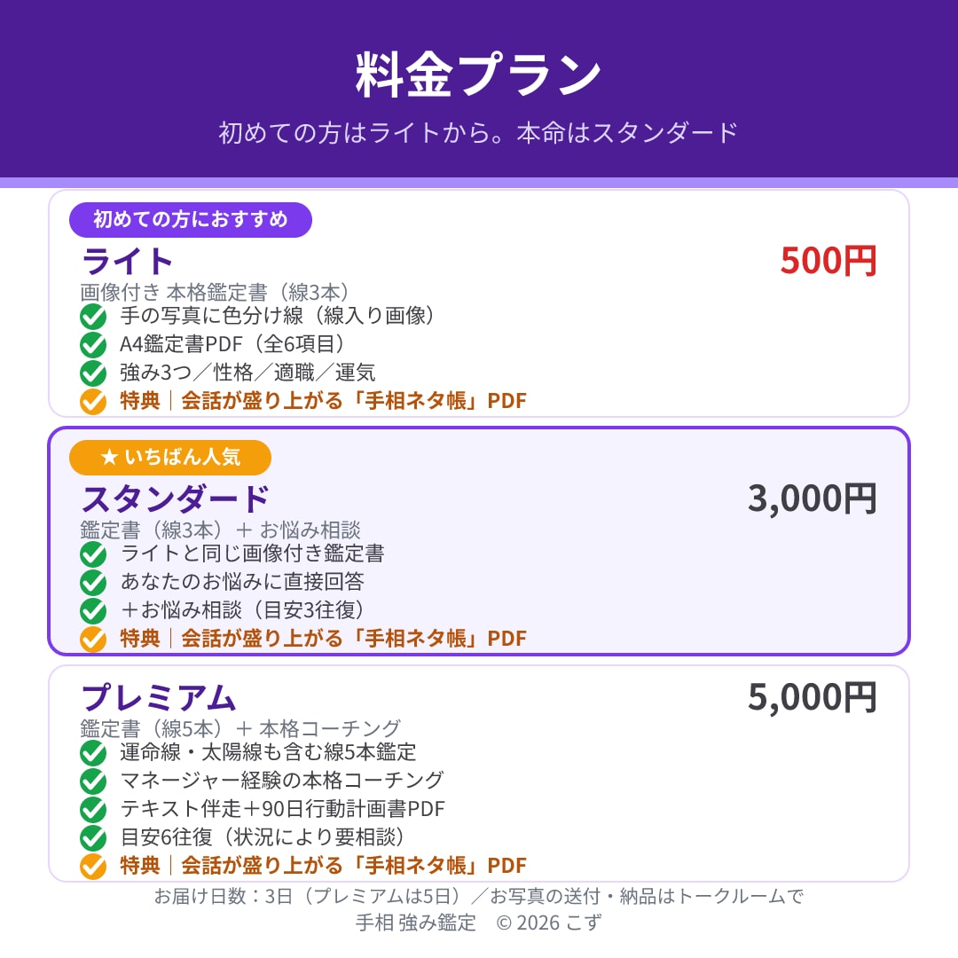 手相で強み3つと適職を3日以内に鑑定します 写真1枚でOK｜線を描いた鑑定書PDF・顔出し通話なし イメージ7