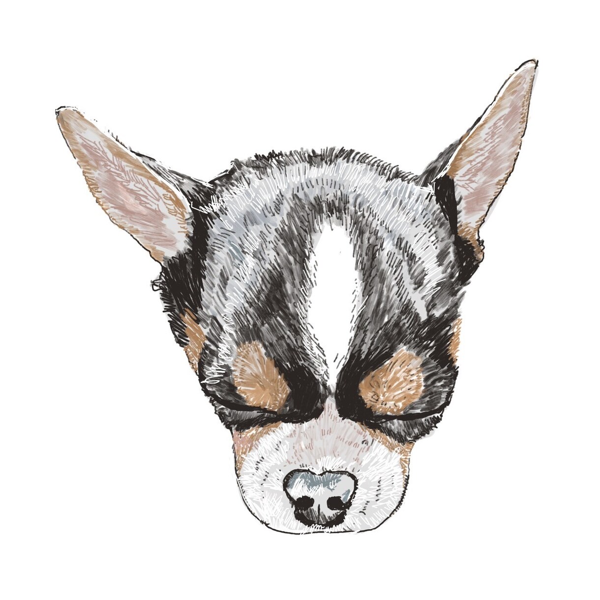 あなただけのペットの絵を描きます ペットの魅力を形に残すお手伝いをさせてください。 イメージ3