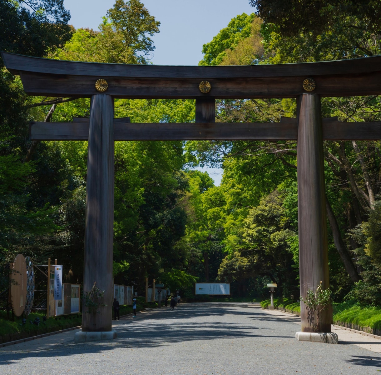 はじめての魂路霊視〜今必要な魂の言葉を霊視します 霊視とタロットで迷いの核心と次の一歩を届けます イメージ1
