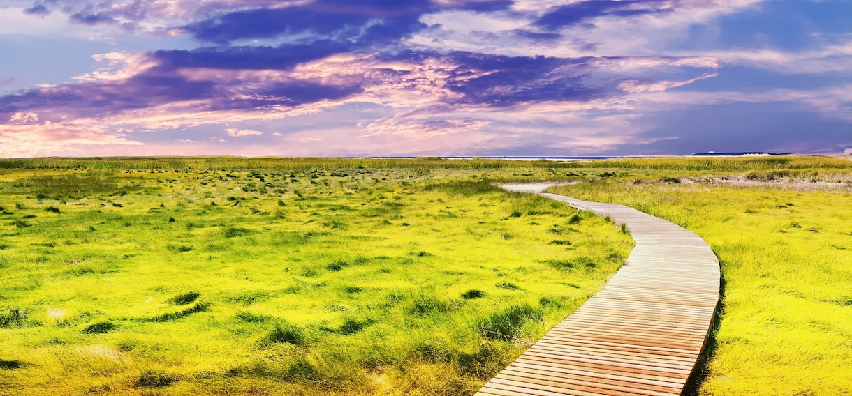 エネルギー高容量活性化◇全エネルギー層の調律します ☆エネルギー・アチューンメント / エネルギー活性ヒーリング イメージ13