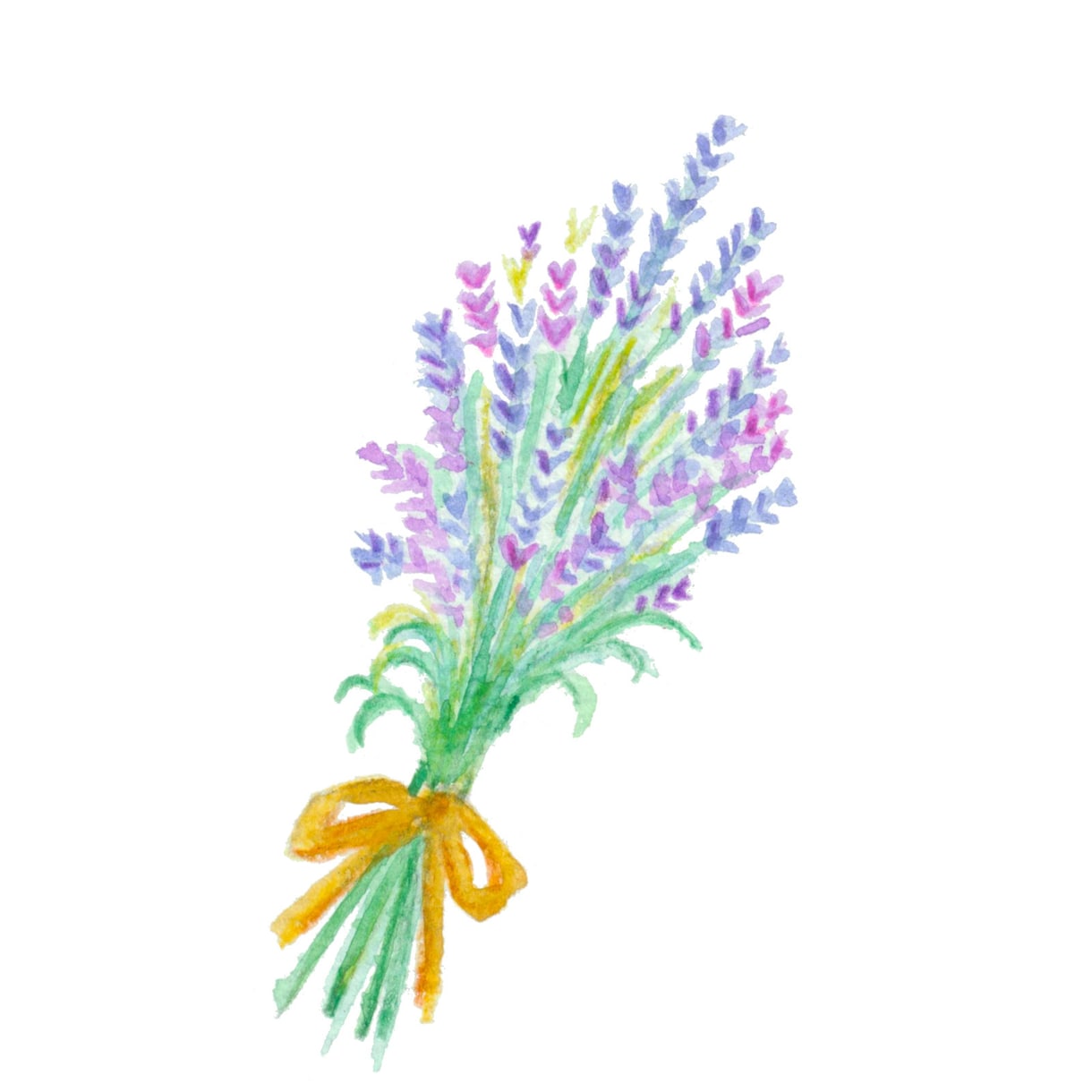 ナチュラルなお花の水彩イラスト描きます アンティークな雰囲気の水彩イラスト イメージ3