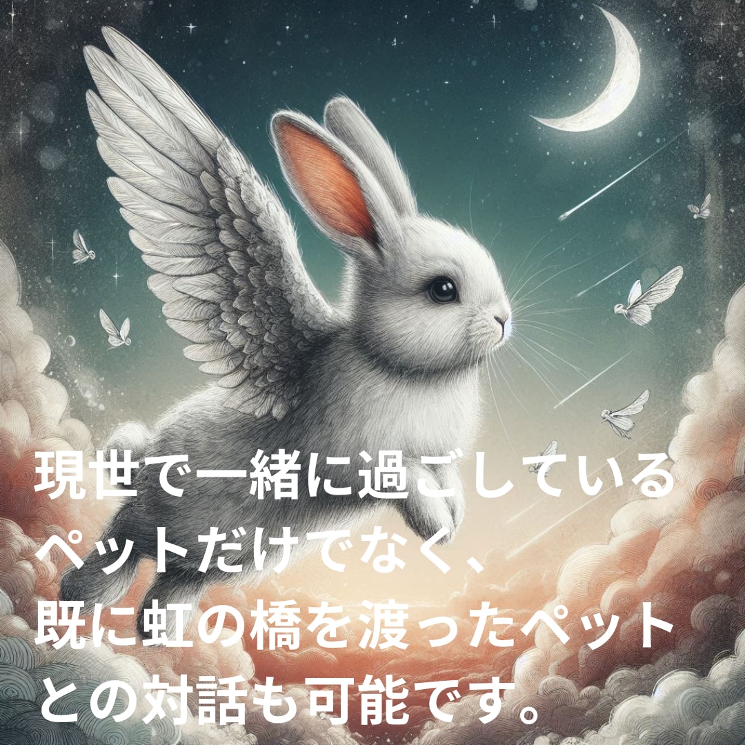 電話占い★ペットと飼い主様の心の絆を深めます 霊感霊視 × 占術で、大切なパートナーの気持ちを読み解きます イメージ3