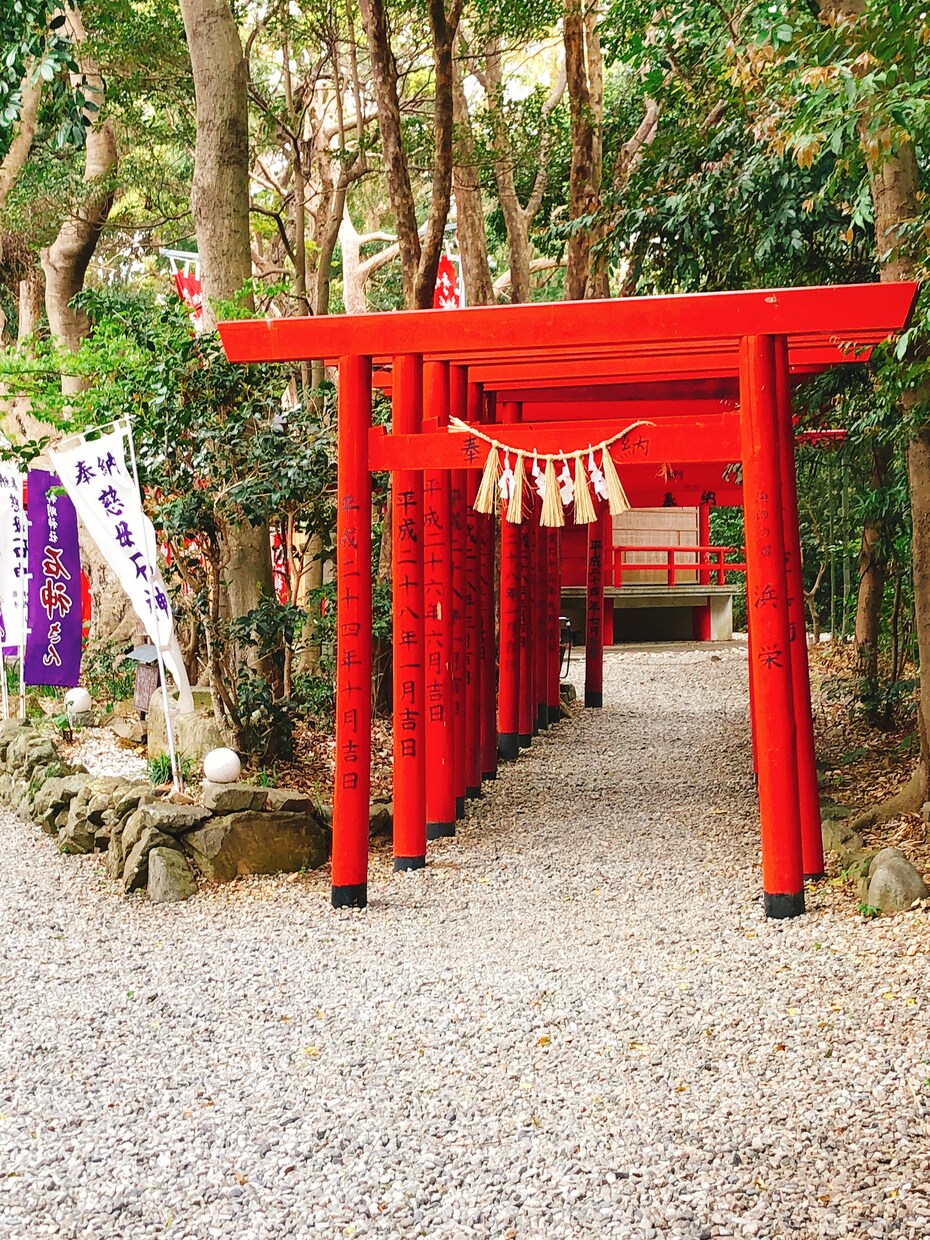期間限定※恋愛が大得意‼あなたのお悩み解決します 全般見れます恋愛得意です、彼とのこと、未来、時期、出会い等 イメージ3