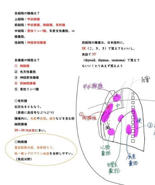 医学部卒が医療系、生物系大学院の試験対策します 医療系学部の基礎医学、定期テスト、大学院、国試対策を致します イメージ3
