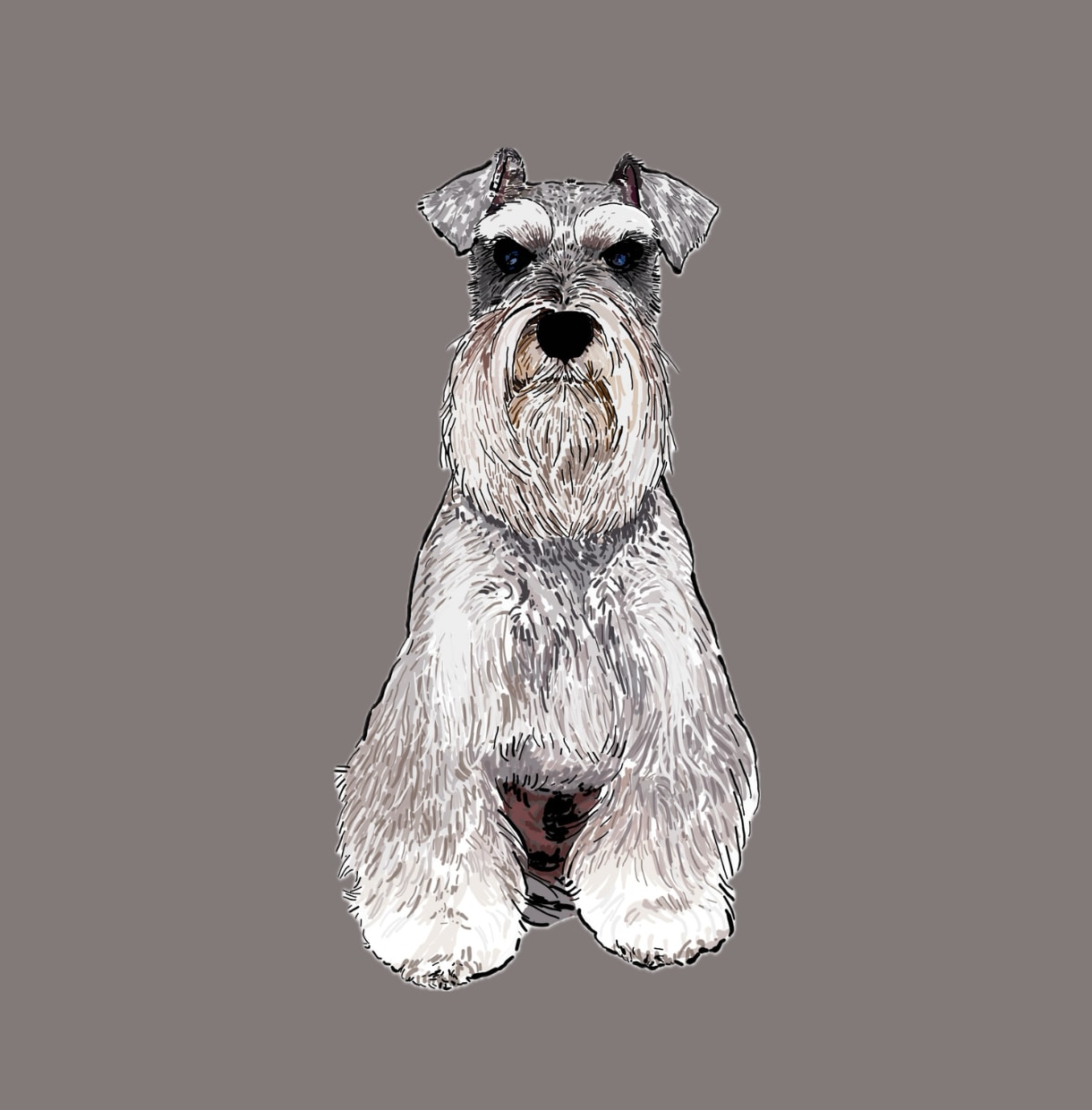 ミニチュアシュナウザーの似顔絵を描きます ミニシュナと暮らす犬絵師が、写真から似顔絵を描きます イメージ7
