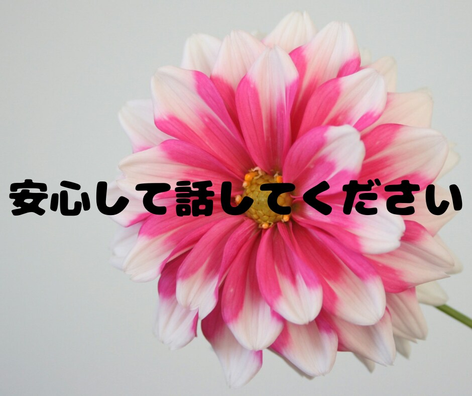 1分からOK！あなたの心の傷に寄り添います あなたが自分を大切にできますように イメージ5