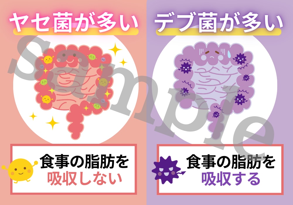 一律1,500円★記事内コンテンツ作成します 現役ライターが記事内コンテンツを作成！ イメージ6