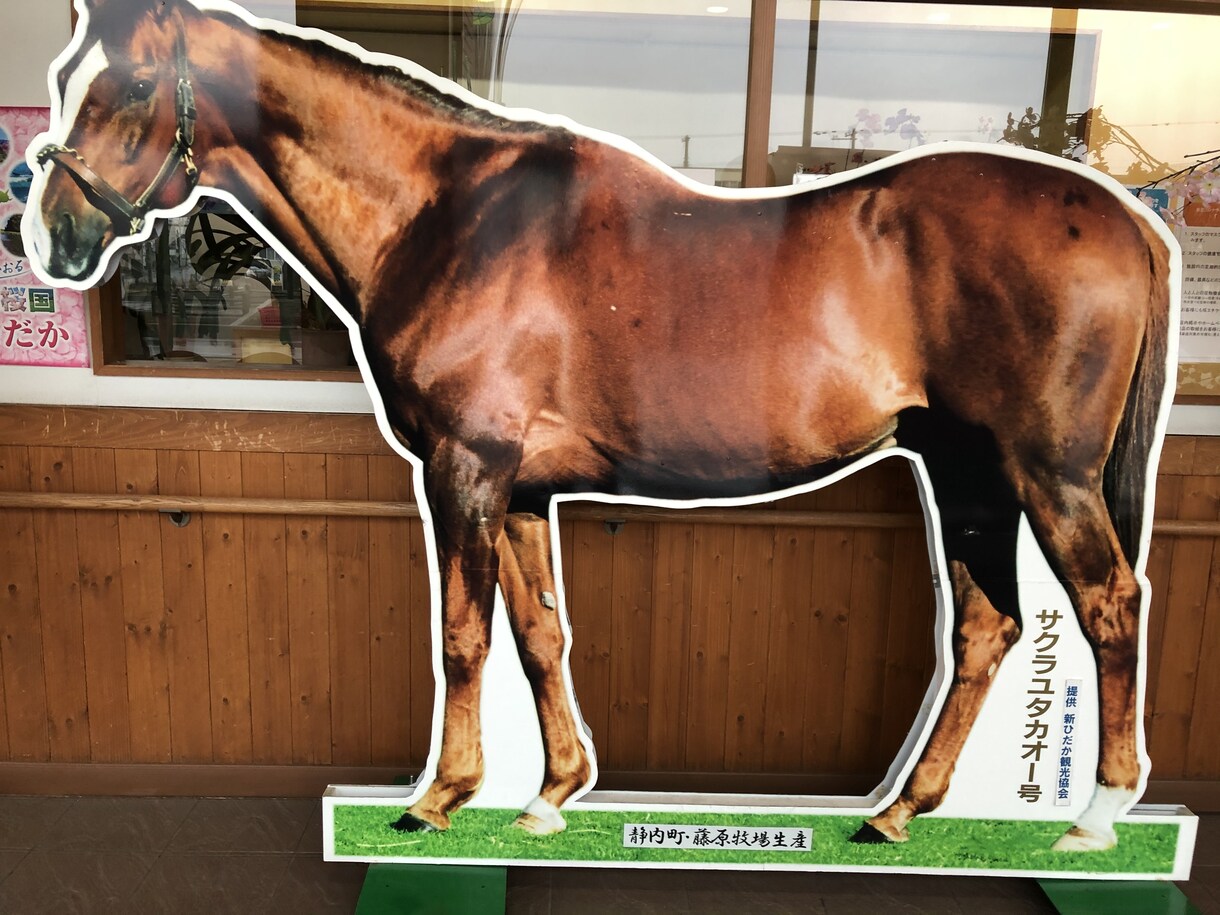 ３往復⭐️競馬好きさんとゆるく交換日記します 交換日記のように競馬愛を語りましょう イメージ3