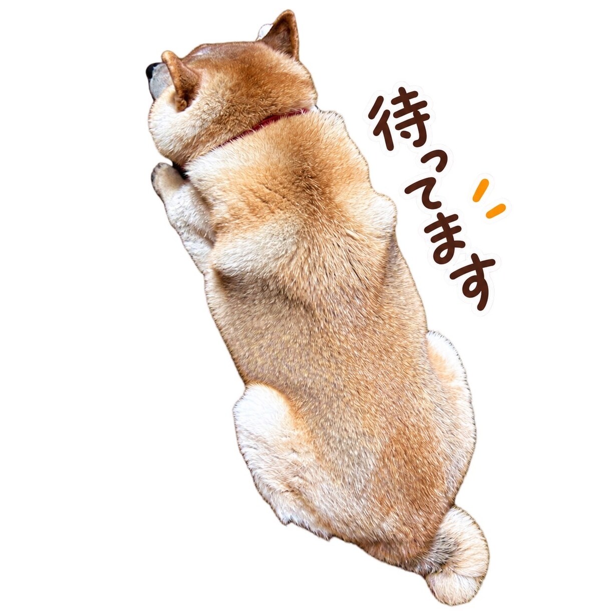 愛犬の写真から可愛いLINEスタンプを作ります 最新AI×丁寧な画像補正で、世界にひとつのスタンプを制作！ イメージ2