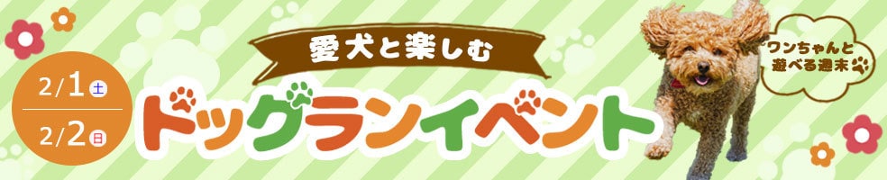 AIにはできない、あなたの想いをカタチにします AIが活躍する時代だからこそ、人間味のあるデザインを。 イメージ5