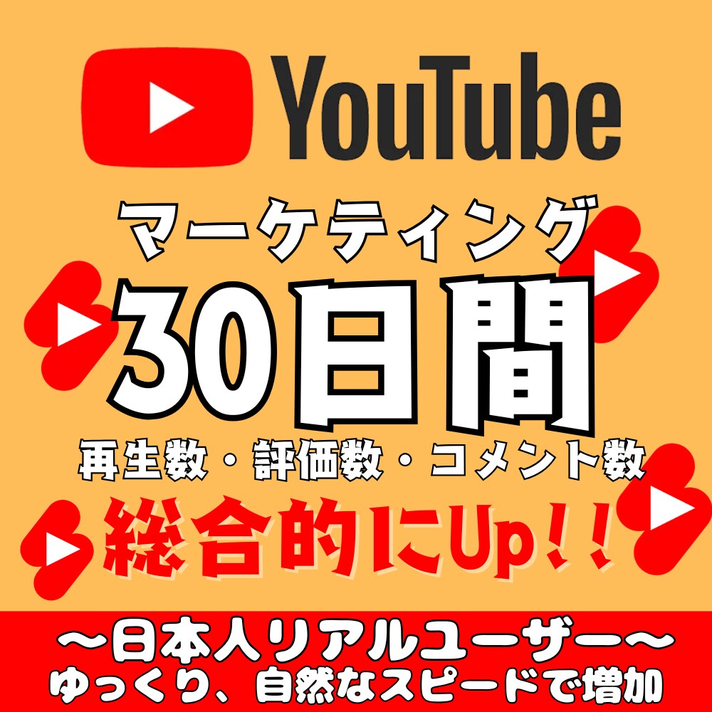 YouTubeのチャンネルを総合的に伸ばします 登録者数・評価数・コメント数の総合的な増加施策‼️ イメージ1
