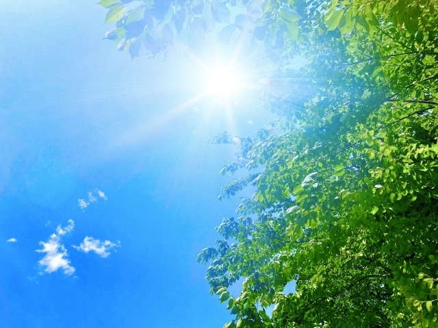 1分からOK♪愚痴、雑談、お話聞きます 【話し相手します】雑談・愚痴・恋バナも大歓迎！ イメージ1