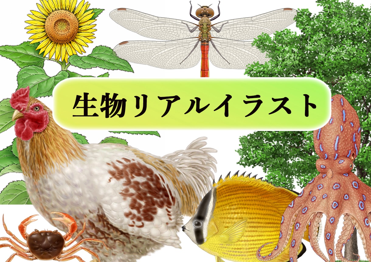 図鑑・教科書・教材のリアルなイラストを描きます 学術対応可能、教材・論文・専門書向けの正確な図版を提供します イメージ1