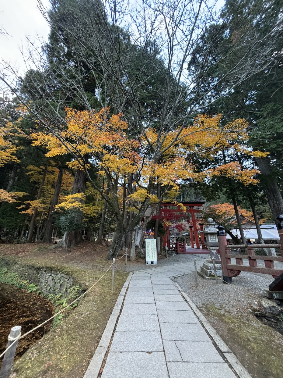 生まれてきた意味を教えます どうして生きる事が苦しいのか、抜け出す方向に導きます☆ イメージ1