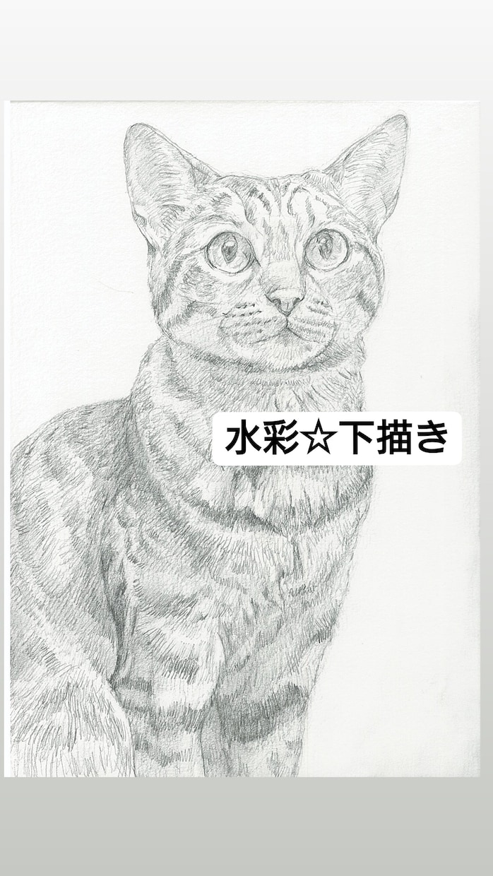 鉛筆画・水彩画で似顔絵(写真模写)を制作します ☆美大卒☆日本画家の私が、一筆一筆、丁寧に描画致します イメージ2