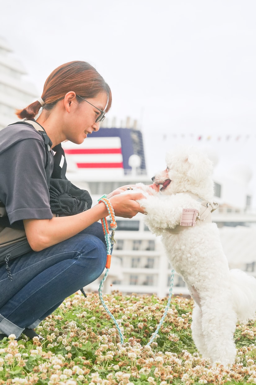 犬【SNS掲載OK】わんちゃんのお写真撮影します 何気ない毎日を、かけがえのないキヲクに。 イメージ1