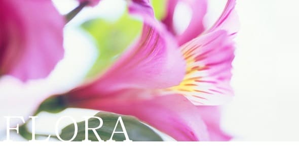 人にとても話せない辛い事苦しいお悩みをお聞きします 貴方様のお幸せを願い、真心こめてお心を癒すお手伝いを致します イメージ2