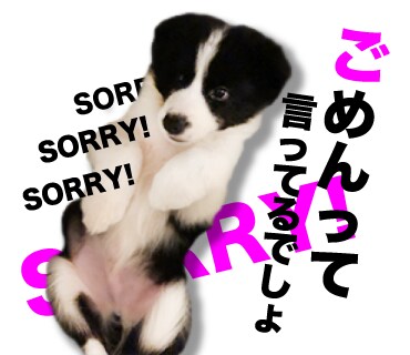 オリジナルLINEスタンプつくります 愛犬や子供ちゃん、カップルのLINEスタンプつくりたい方！ イメージ2