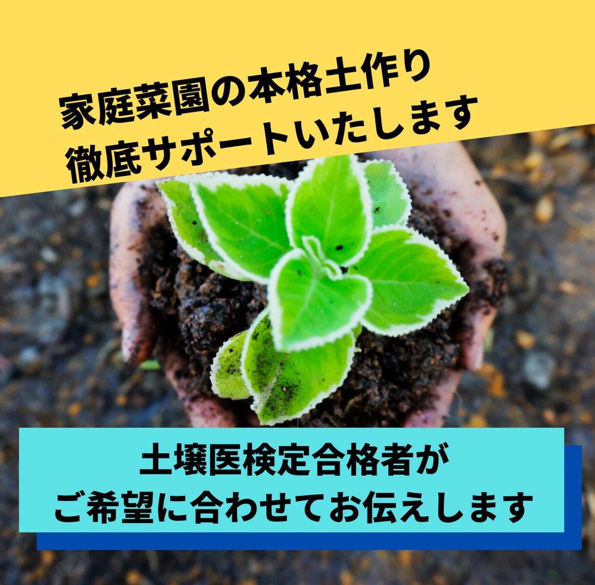家庭菜園の本格土作りを徹底サポートします 丁寧で分かりやすく、音声による相談も対応可 イメージ1
