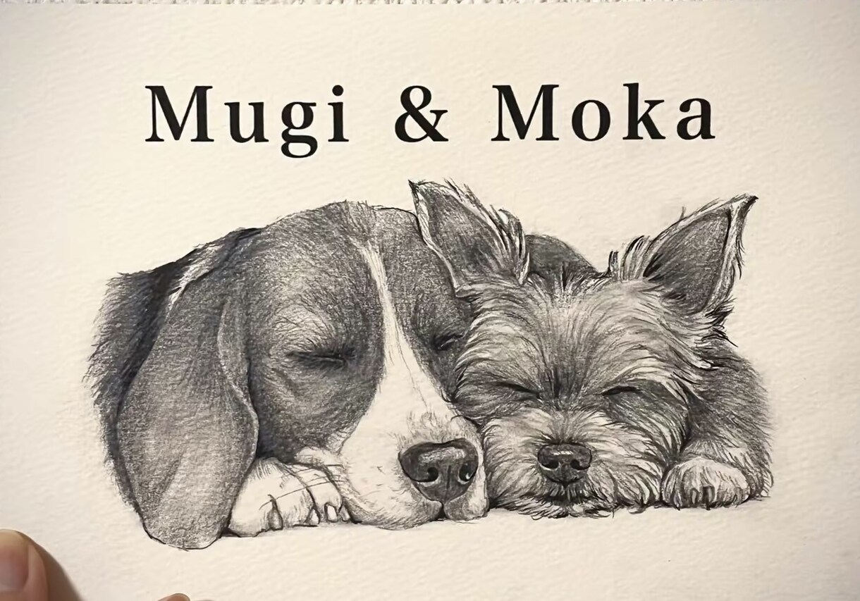 犬•猫•ペットの似顔絵を鉛筆画で丁寧に描きます 【先着3名様限定】今だけ特別価格で受付いたします イメージ1