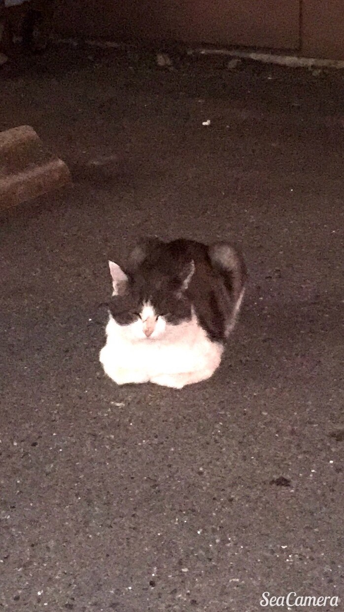 愚痴がたまったり、ちょっと話したい方！なんでもききます！すっきりしますよ！ イメージ1