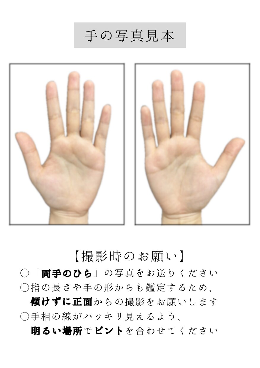 画像解説付き！手相の基本に基づく鑑定書を届けます 【事実を伝える】あなたの写真に直接線を書き込んで解説します イメージ4