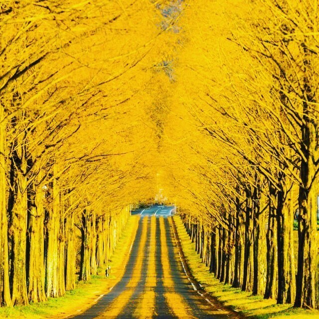 仕事.恋愛.人生相談乗ります 仕事や恋愛や私生活などで悩みを抱えてる方 イメージ1