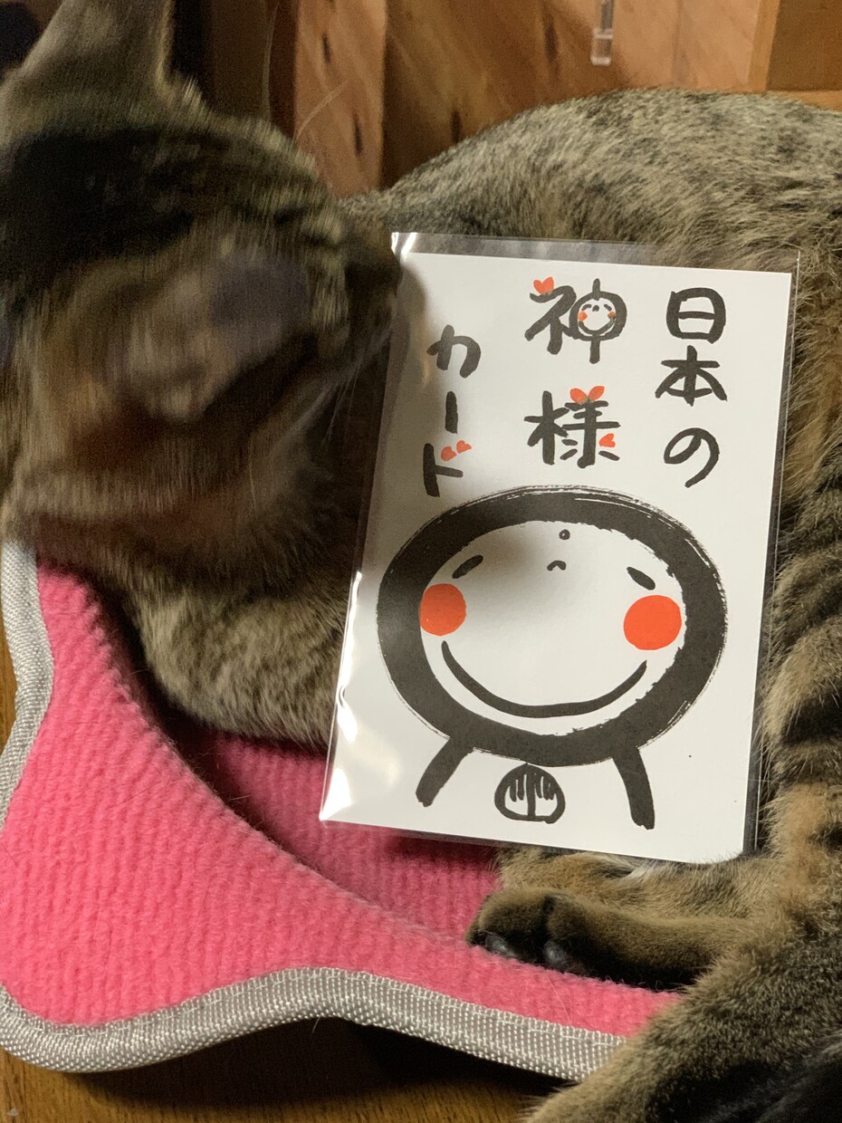 日本の神様カードでアドバイスします 48柱の神々が伝える「和の叡智」 イメージ2