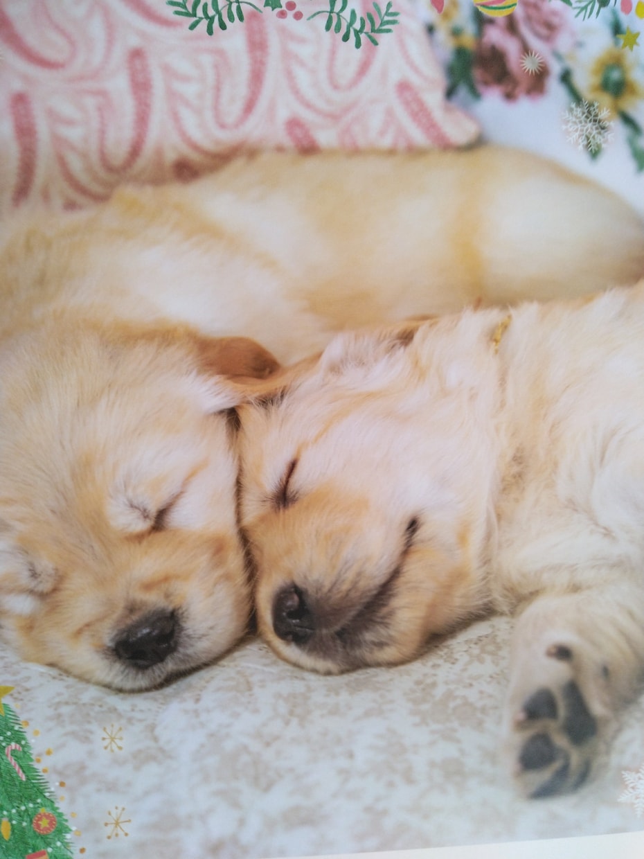 眠れない夜★☆眠くなるまでとことんお付き合いします 今日もお疲れさま♡気分転換　雑談　傾聴　お休みコール　膝枕 イメージ8
