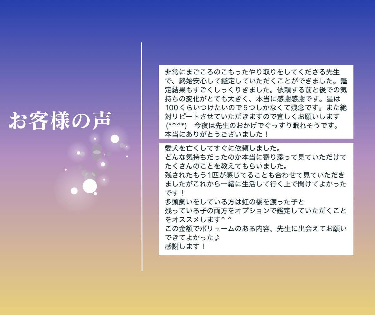 大切なペットがあなたに伝えたい想いを届けます 飼い主さんと心を繋ぐペットタロット！虹の橋の子にも対応 イメージ6