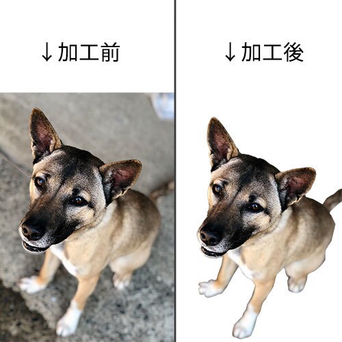 画像加工（切り抜き）承ります 時間が掛かり、効率の上がらない画像加工業務を代行します イメージ2