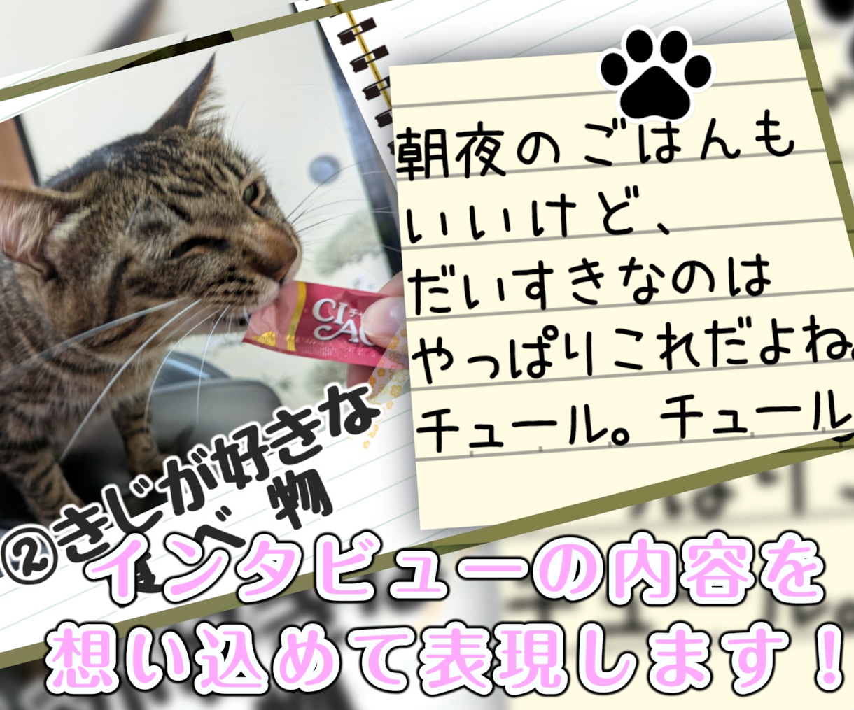 大好きなペットちゃんの説明書（動画）製作します ♪　ペットが好き好き♪　飼い主様のインタビューをもとに作成！ イメージ7
