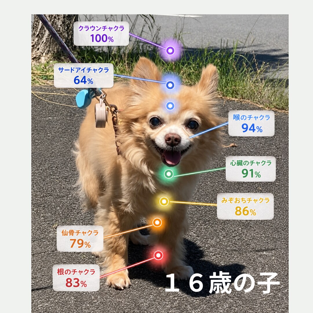 Healyによるオーラ分析をします チャクラとオーラから今を読み解きます イメージ4