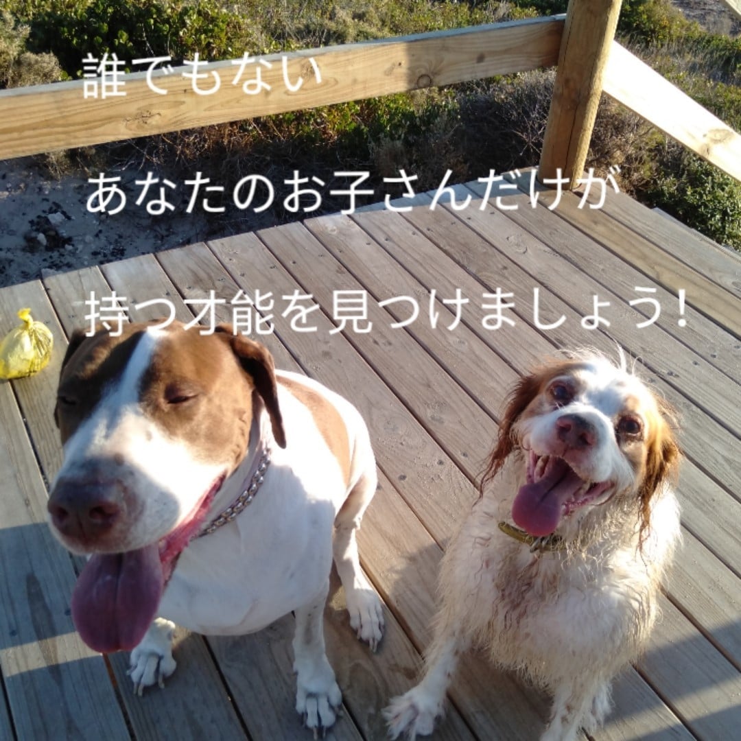 子育て／幼児教育についてや先生方のお悩みに答えます プロの意見を聞いて問題解決！個性を伸ばす教育のお手伝い！ イメージ2