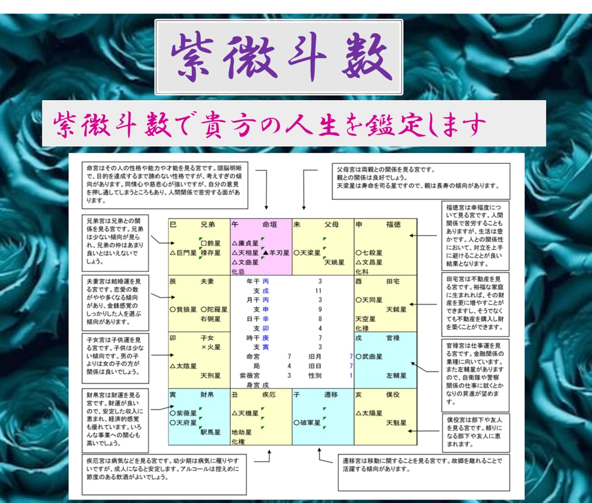紫微斗数(東洋占星術)で貴方の人生を占います 紫微斗数【中国の透派】で依頼者様の人生を鑑定します。 イメージ6
