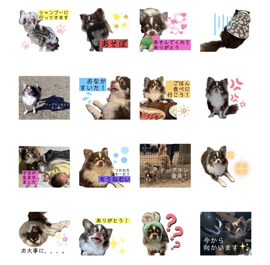 お写真からかわいいLINEスタンプ作成します お子様・お孫様・ペットのお写真を活かしてスタンプ作成します イメージ3