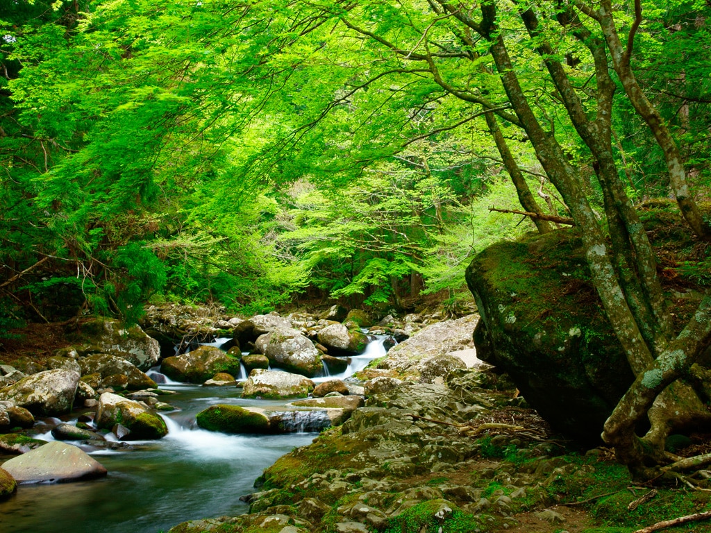 最近ついてないあなたへ！　身体の中から運気アップ♪ 　内なる幸運を手に入れましょう！ イメージ3