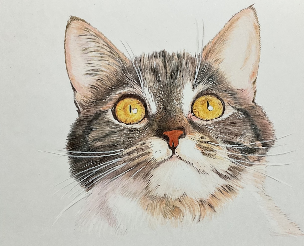 ペット似顔絵を色鉛筆で2Lサイズに描きます 写真を元に色鉛筆でペットの似顔絵をリアルに描きます。 イメージ5