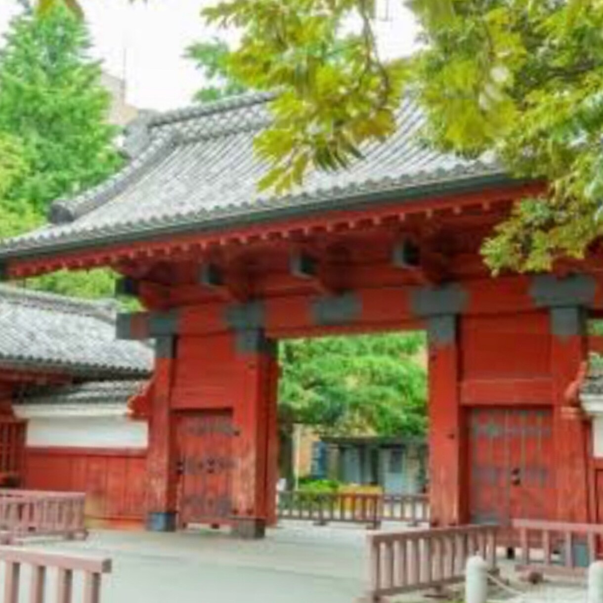 大学受験の志望理由書・自己PR、まるごと作成します 総合型選抜（AO）、推薦入試、帰国子女入試おまかせください！ イメージ9
