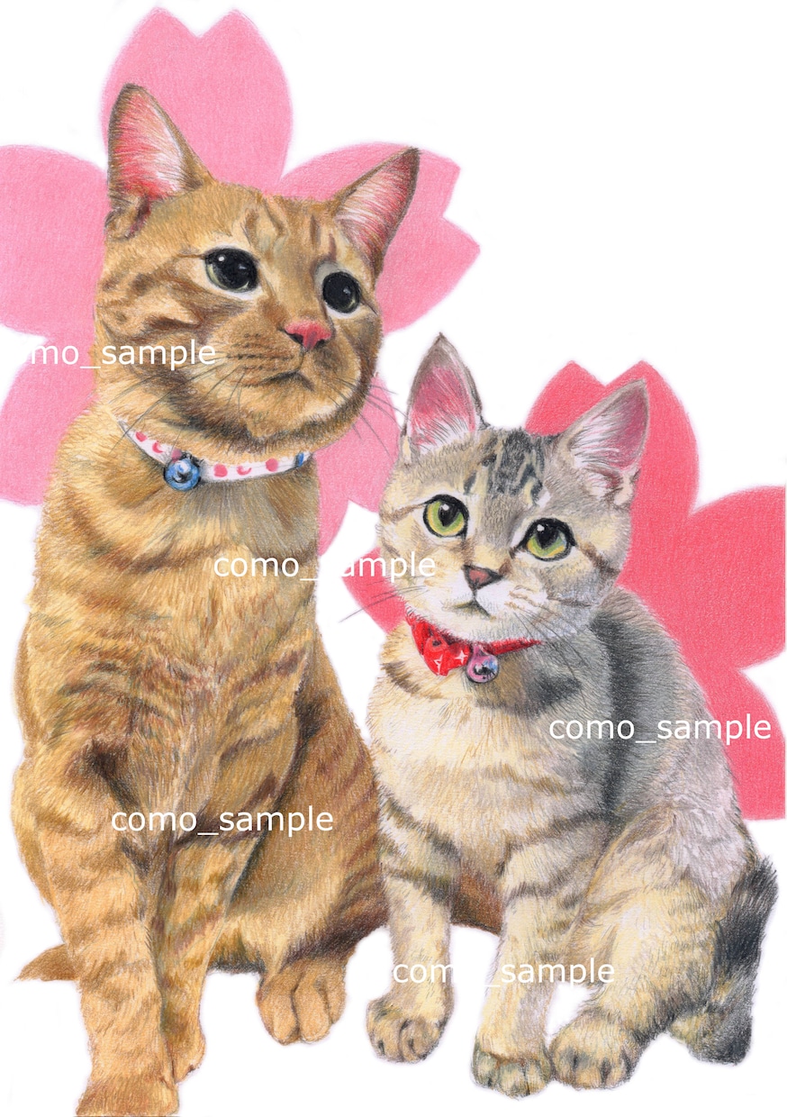 ハイクオリティなペット画を、色鉛筆で手描きします ♪精密描写＊ペットの肖像画＊記念プレゼント＊インテリアアート イメージ7