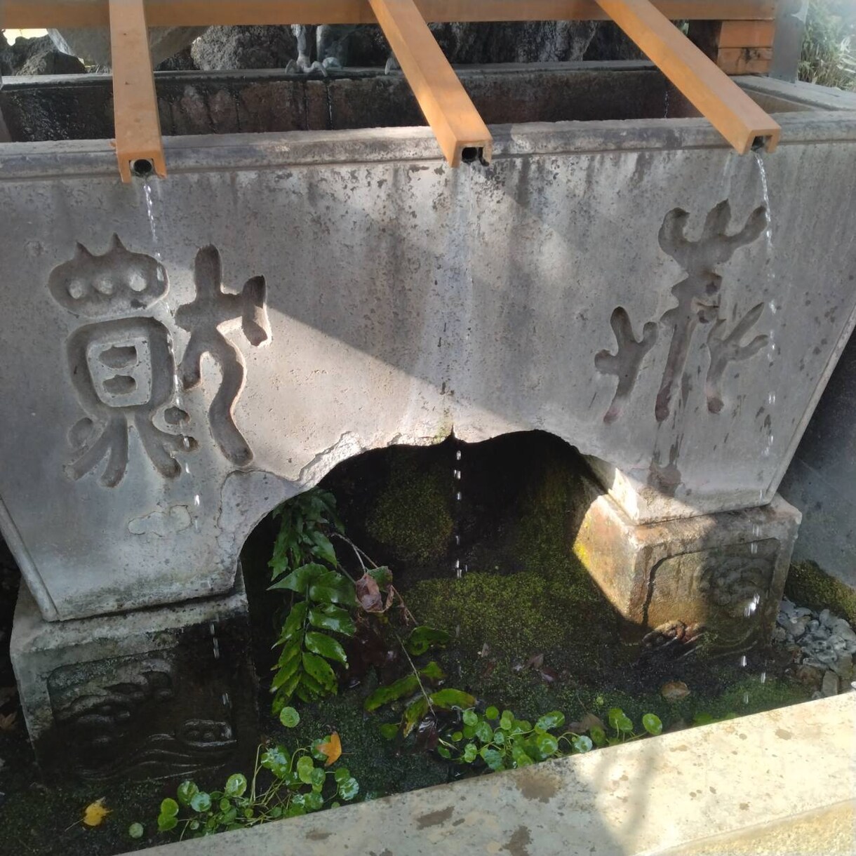 現役占術師が老後や将来について視ます どうなる。どうすればいい。は解消へと向かいます。 イメージ6