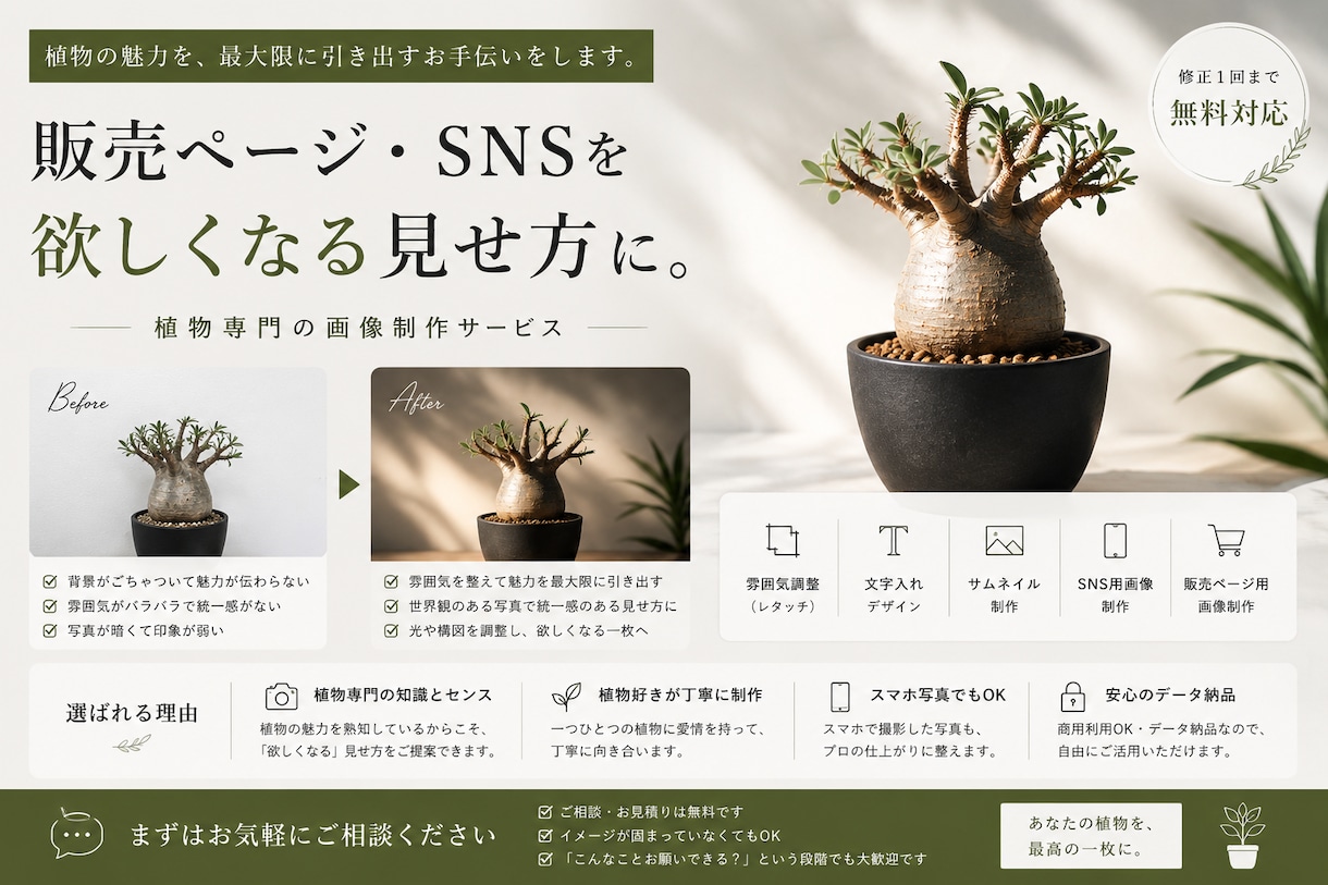 塊根植物・アガベなど植物を制作します 欲しくなる”世界観”にととのえます イメージ1