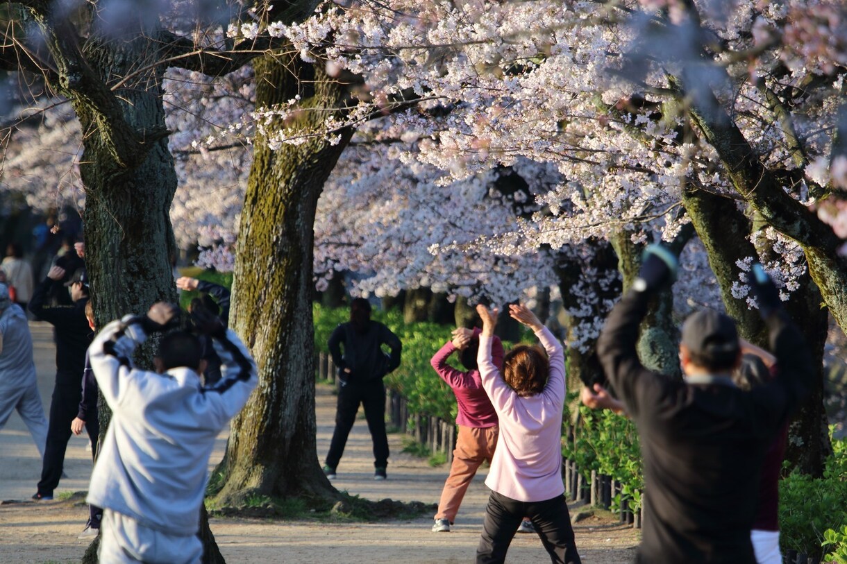心理カウンセラーが朝活サポートを行います 朝習慣サポートで心・頭・体全てを良くする朝の３０分プログラム イメージ1