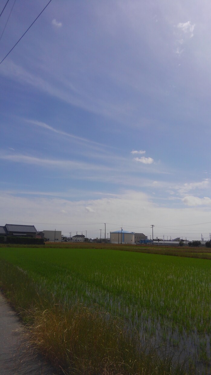心の悩み、職場の悩み話ききます 悩みを話すことできっと後悔はさせません！ イメージ1