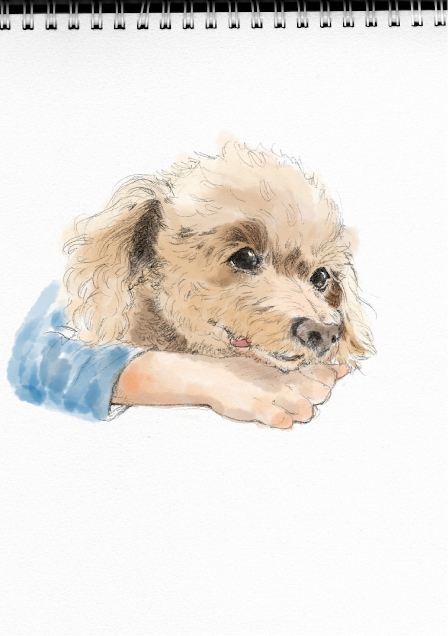 ペットの似顔絵をリアルに描きます マグカップやハンカチなどにプリントして誕生日プレゼントに。 イメージ4