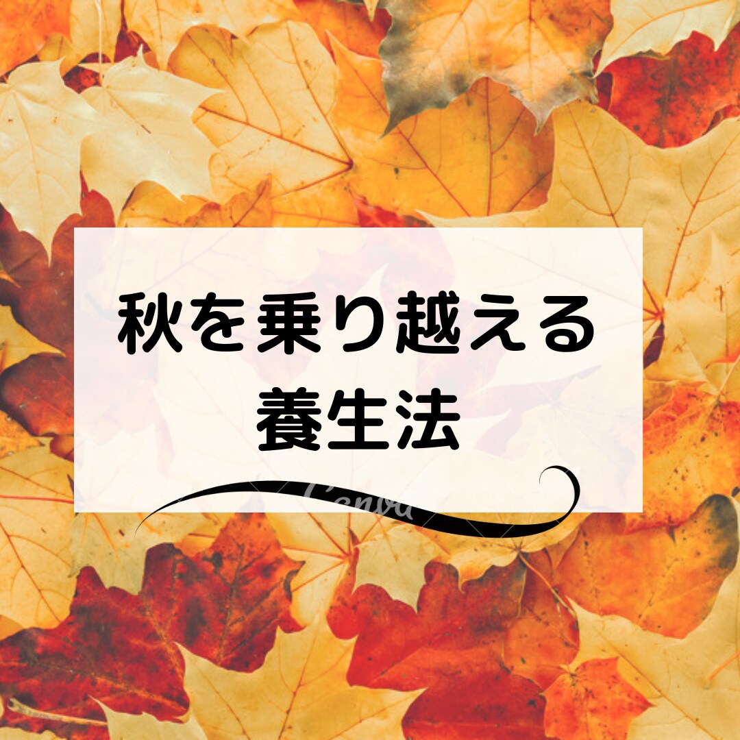 東洋医学を元に「後悔」させない秋の過ごし方教えます 今の自分の過ごし方が未来のあなたの健康を左右する イメージ2