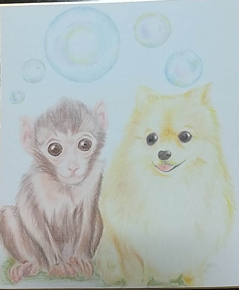 家の子(ペット)を色鉛筆で描きます 明るくあたたかい作品になります イメージ2