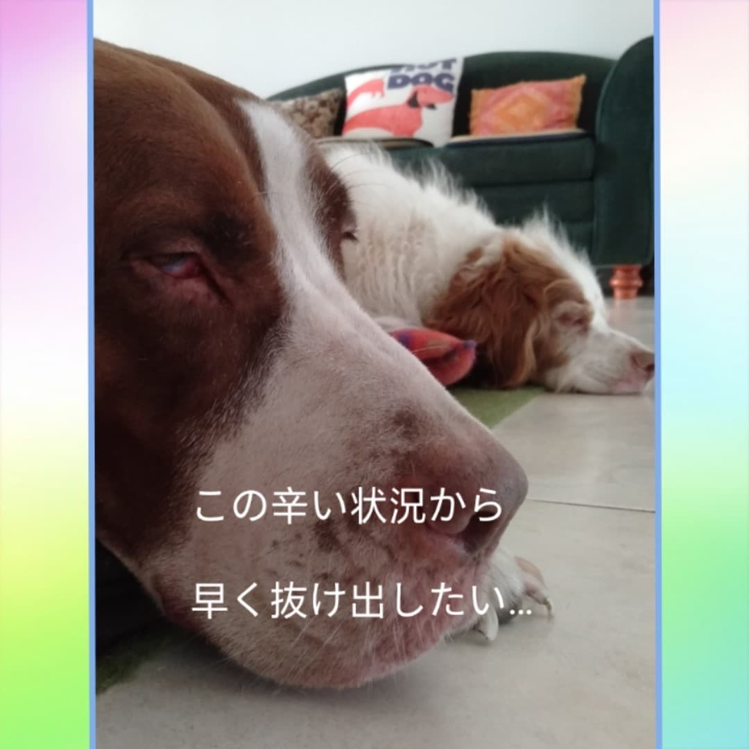 いつまで続くの？　辛い人間関係のお悩みに答えます 毎日顔を合わせるからこそ、本当に何とかしたいお悩みですよね！ イメージ1