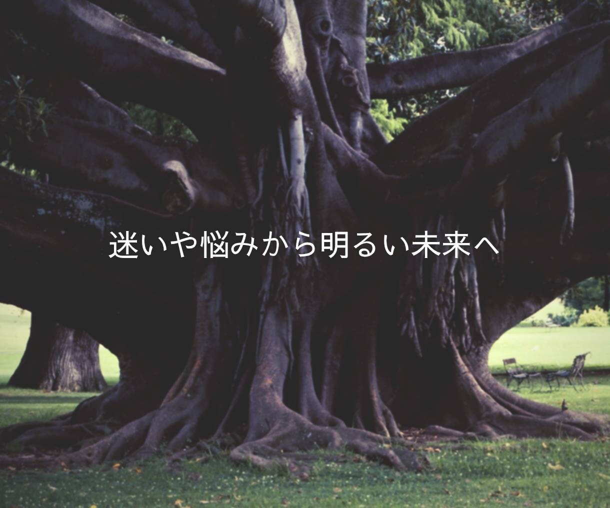 相手の本音と恋の未来を丁寧に鑑定します あなたの恋がよい方向へ進めるように優しく導きます イメージ3
