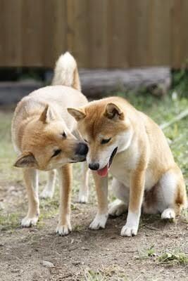 あなたの悩み解決出来るようがんばります 3日間☆大阪浪速の義理と人情でなんとかします イメージ1